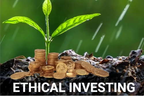 Ethical investing webinar